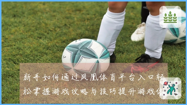 新手如何通过凤凰体育平台入口轻松掌握游戏攻略与技巧提升游戏体验