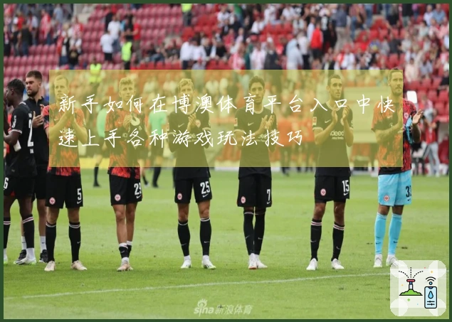 新手如何在博澳体育平台入口中快速上手各种游戏玩法技巧